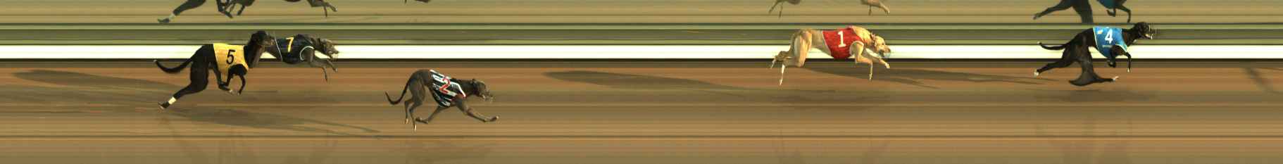 Race result finish photo